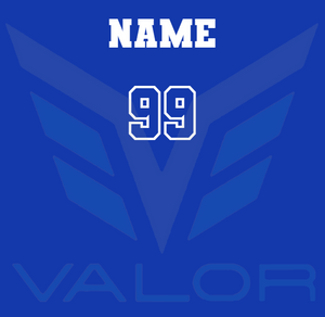 Vets2025 FAN SHIRTS